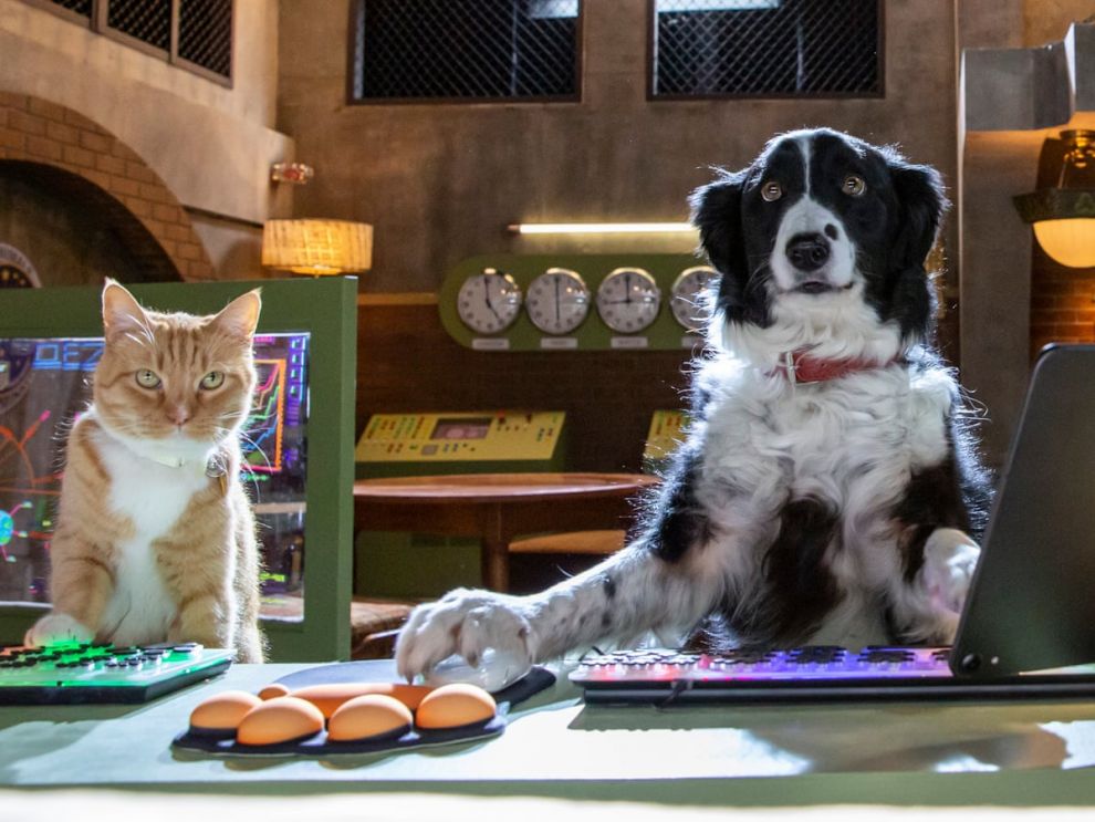 Cats & Dogs 3: Paws Unite (Nέα ταινία)