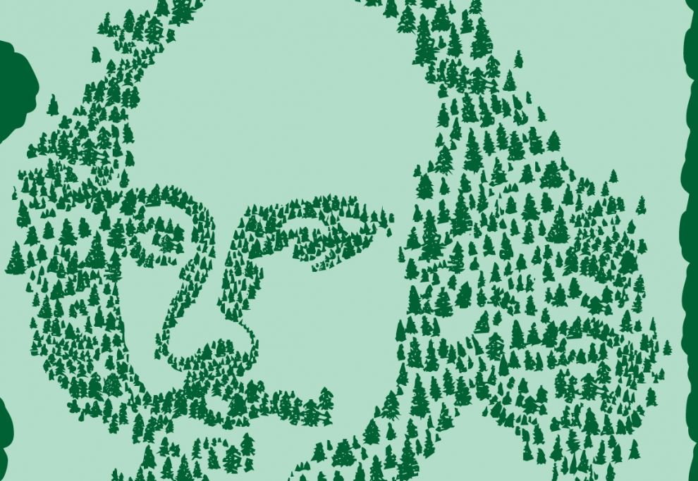 Φεστιβάλ Shakespeare στις Πλάτρες