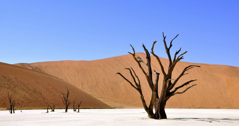 «Η Χειμερία νάρκη μου» στον ΘΟΚ 