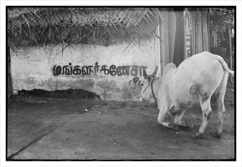 «Ένας χρόνος στην Ινδία του 1960» Nomi Rowe στο Κέντρο Φωτογραφίας 6x6 