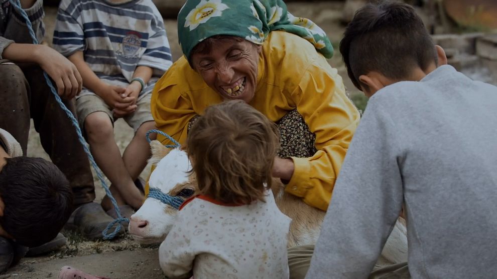 Honeyland στο Θερινό Κωνστάντια 