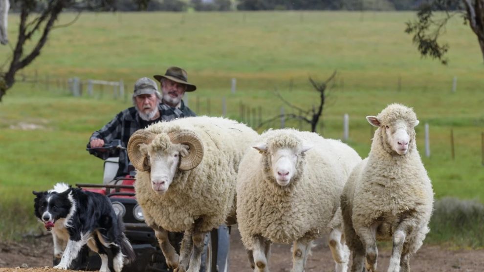  Αδέρφια σε σύγκρουση στο Θερινό Κωνστάντια 