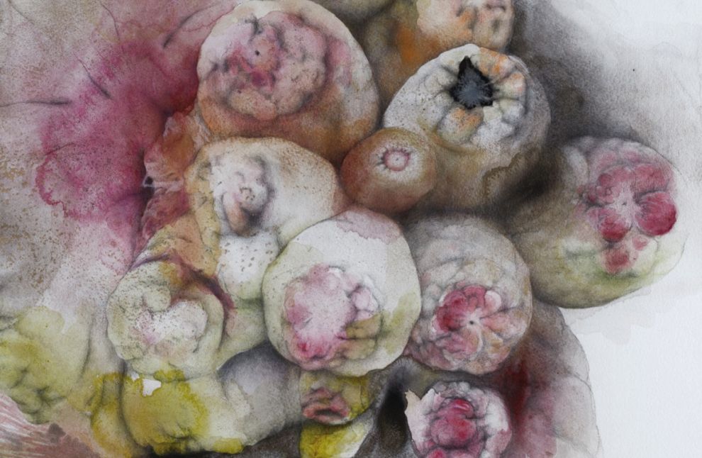 Διαπλεκόμενες Συνδέσεις στο Diatopos Art Centre και στο ARTos Cultural and Research House