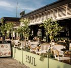 Ζωντανή Μουσική στο PAUL Limassol Marina  