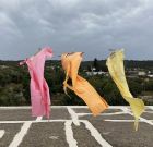 Τούλα στο Artos