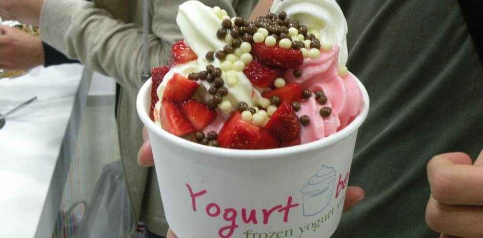 Yogurt Berry
