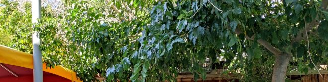 Άγιος Γεώργιος