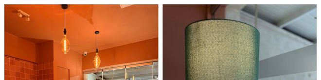 Πράσινη Πάπια